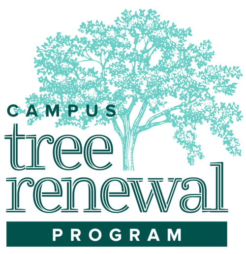 campus tree renewal wordmark
