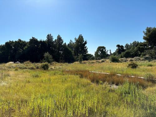 Habitat garden