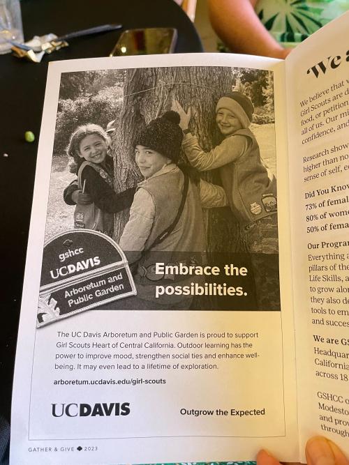 Image of a black and white ad in the event's program.