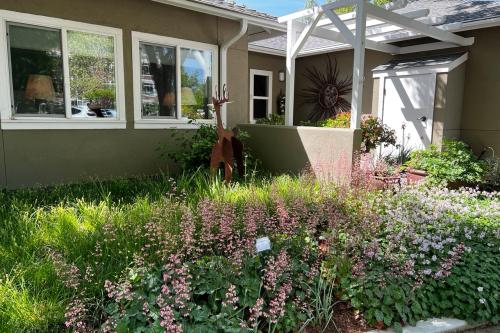 Front yard with plants blooming