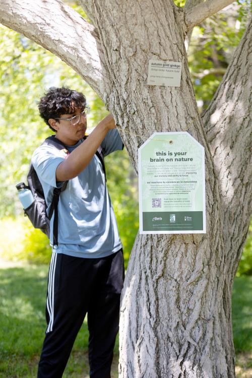 a Learning by Leading student installs a tree tag
