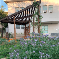 Image of the Hunt Hall Courtyard.