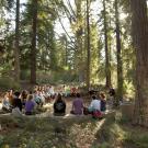 Image of class in the UC Davis Arboretum redwood grove.