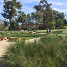 Image of the UC Davis Arboretum GATEway Garden.