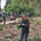 Image of UC Davis Arboretum and Public Garden Learning by Leading Curatorial student documenting plants.
