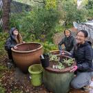 Image of Learning by Leading Habitat Horticulture interns planting pollinator-attracting containers. Their goal is to educate the public about how the smallest gardens can support pollinators.