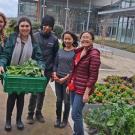 Students harvest Good Life Garden for donation to The Pantry