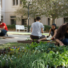 Apply now for student edible landscaping opportunities