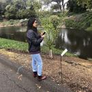 Image of water quality survey taker in the UC Davis Arboretum.