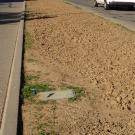 Image of La Rue Road median with weeds and no flowers