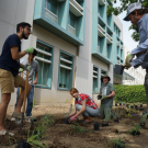 Students plant sustainable landscape outside Shields Library.