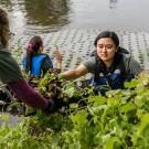 Student Intern planting in Arboretum Waterway