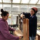 Two students water their seeds in the greenhouse.