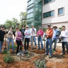 Image of volunteers planting the California Rock Garden.