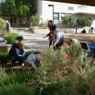 UC Davis students working on making their blueprint come to life in Hunt Hall Courtyard. 