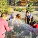 Students from the Edible Landscaping team work to install a row cover. 