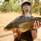UC Davis student with a carp that's part of a research project taking place in the UC Davis Arboretum Waterway.