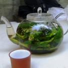 Image of teapot and cup.