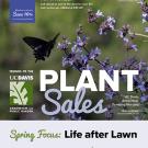 Spring plant sales