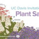 Image of graphic for UC Davis Invitational Plant Sale
