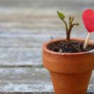 Planting Self-Love