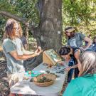 Photo of people in the Shield's Oak Grove learning about oak galls at an event called Oak Discovery Day.