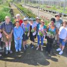 Image of volunteers, members, staff and students in the UC Davis Arboretum Teaching Nursery.