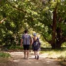 a couple walks in the Arboretum