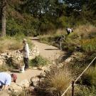Volunteers working along an Arboretum path