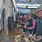Four volunteer smile while potting plants in the Arboretum Nursery