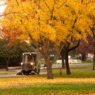 Image of a street sweeper in fall cleaning up yellow leaves spread over green grass and paved areas.