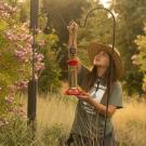 Image of Elizabeth Hursh '22 placing a hummingbird feeder in the UC Davis Arboretum and Public Garden as part of an ongoing research project.