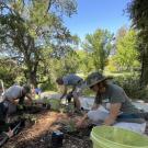 Volunteer planting
