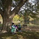 Four girl scouts kneel under a tree, identifying leaves, near Lake Spafford