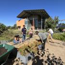 Volunteers working in the Good Life Garden