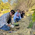 Four students kneel on the banks of the Arboretum Waterway, wearing gardening gloves, posing and smiling near small potted plants