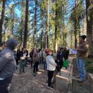 A group of volunteers gather in the Redwood Grove