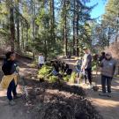 Volunteers pose for a photo in the Redwood Grove
