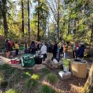 A group of over a dozen volunteers in the Redwood Grove