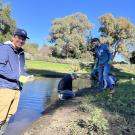 One Arboretum student intern smiles in the foreground while a dozen volunteers work on the banks of the Arboretum Waterway in the background