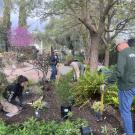 Volunteers in the Arboretum Terrace Garden