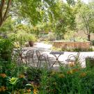 A lush, sun-dappled patio in the UC Davis Arboretum Terrace Garden, featuring metal café tables and chairs surrounded by flowering plants, large ceramic pots, and mature shade trees. In the center, a repurposed stone fountain now serves as a raised planter filled with drought-tolerant vegetation. The garden exudes a peaceful, Mediterranean-inspired ambiance with abundant greenery and filtered light.
