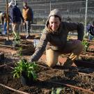 People planting in the Climate Adaptation Living Lab