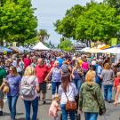 Crowd and vendors at the California Honey Festival