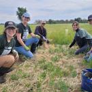 UC Davis students kneeling in a green field planting seedlings under a blue sky