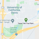 Image of Google map showing where some of the Texas Tree Trial plantings are located.