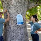 Learning by Leading students install tree tags