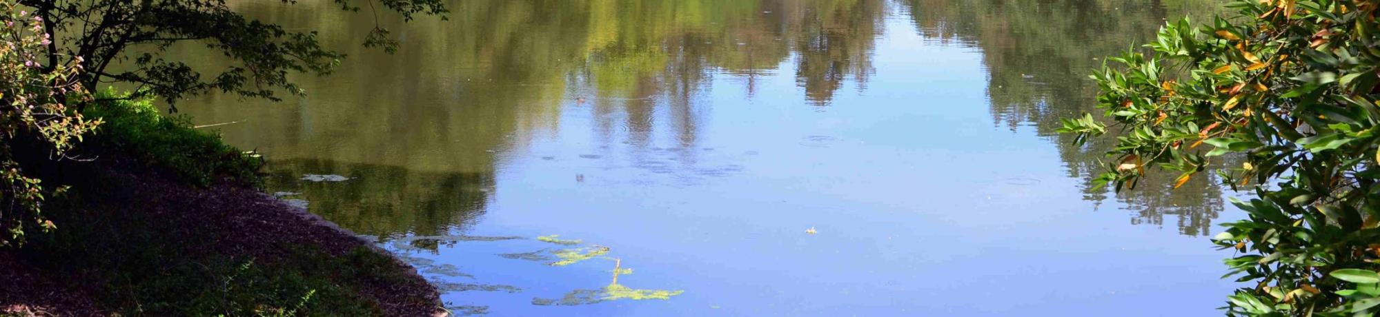 Uc Davis Arboretum And Public Garden Home Banner Gallery