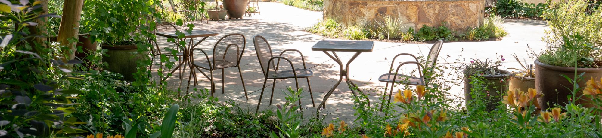 Arboretum Terrace Garden and Lois Crowe Patio