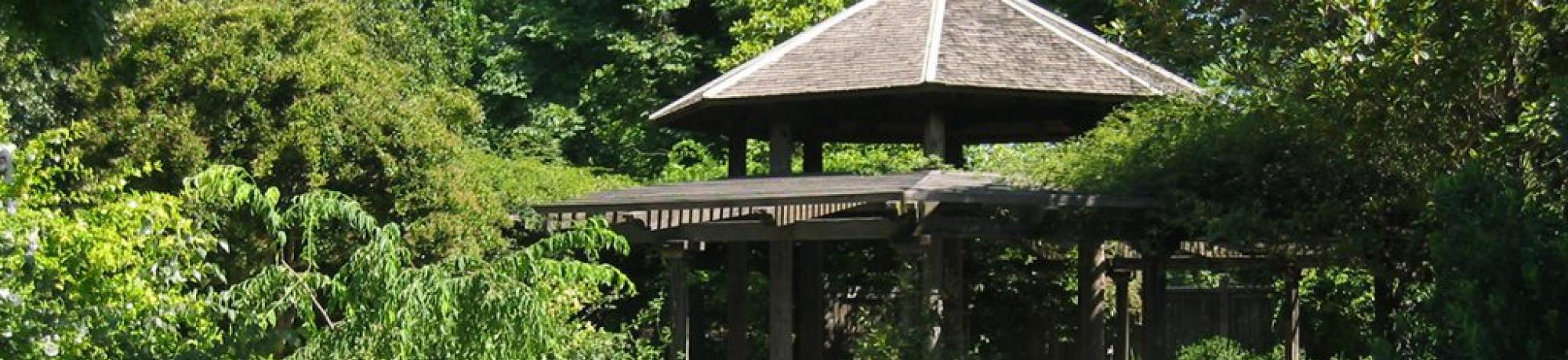 Carolee Shields White Flower Garden And Gazebo Uc Davis